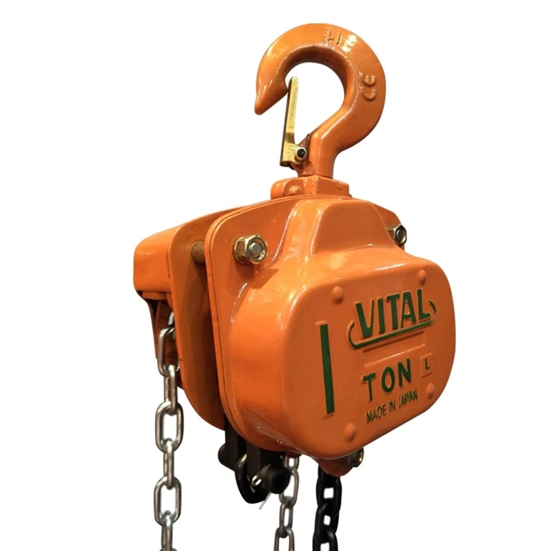 China Factory HS-Vt Type 10ton 3meter Orange Chain Hoist