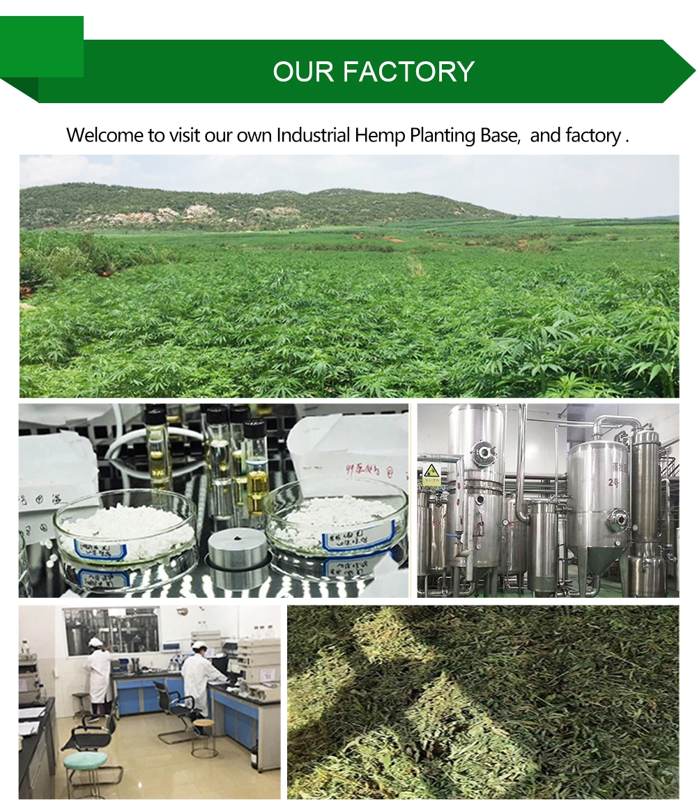 Hot Sell Cbd Oil Bulk/Canabidiol Cbd Oil/Cbd Full Spectrum Oil