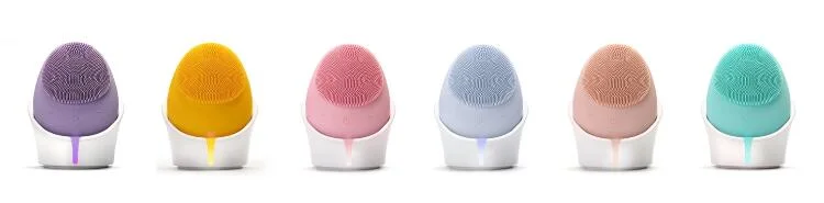 Multi-Functional Beauty Facial Cleansing Brush/Massager Skin Care Face Cleaning Brush