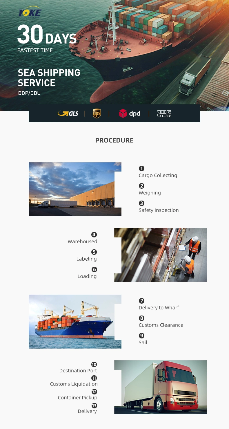 International Company Door Door Service Shipping Air Logistics Europe Freight to Fba Amazon EU