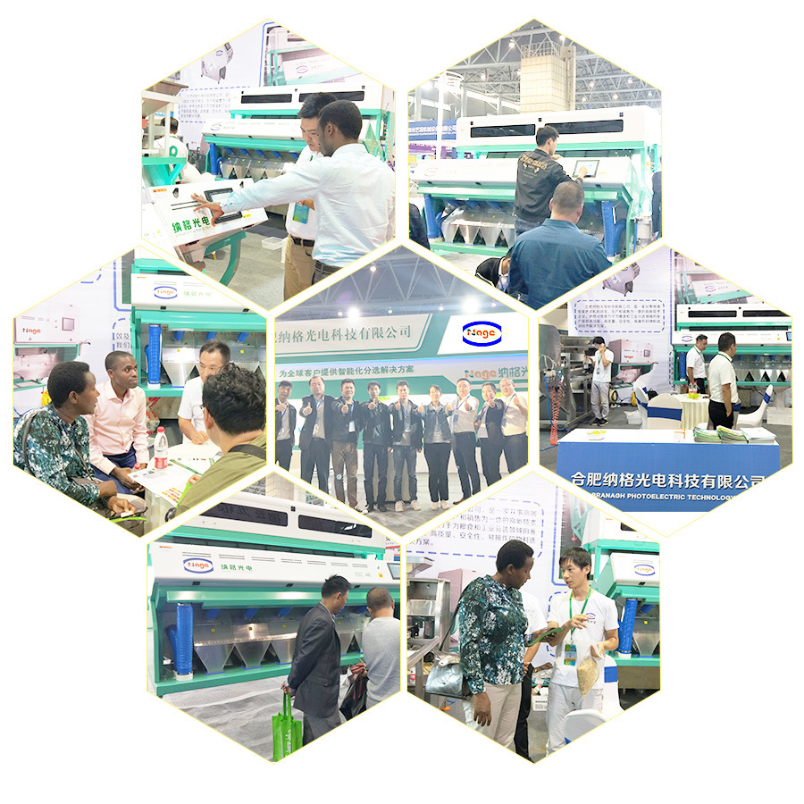 8 Chutes Big Capacity Anise Color Selecting Machine Intelligent Anise Color Sorter Machine