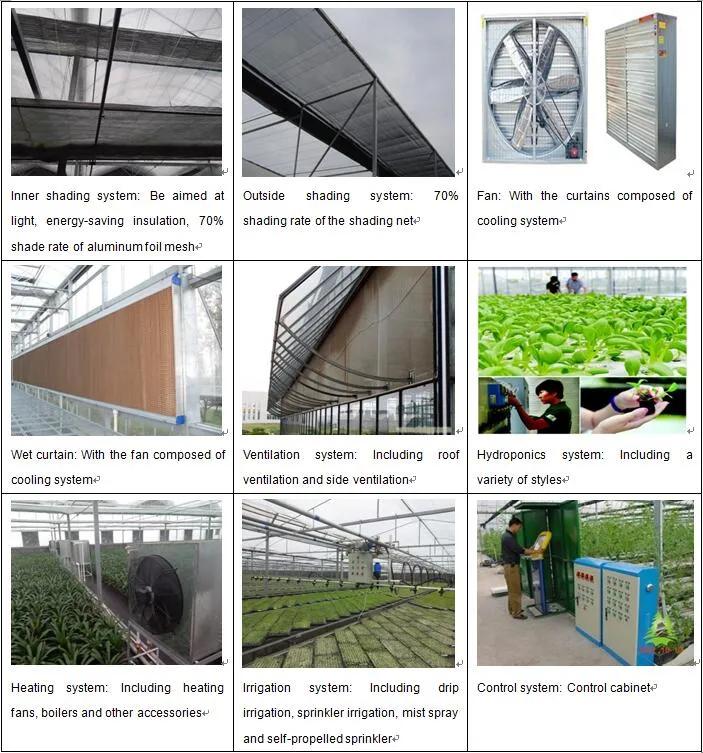 Commercial/Agricultural Equipments Vertical Farming Hydroponic Growing/Planting/Ready Glass Greenhouse with Multi-Span Structure
