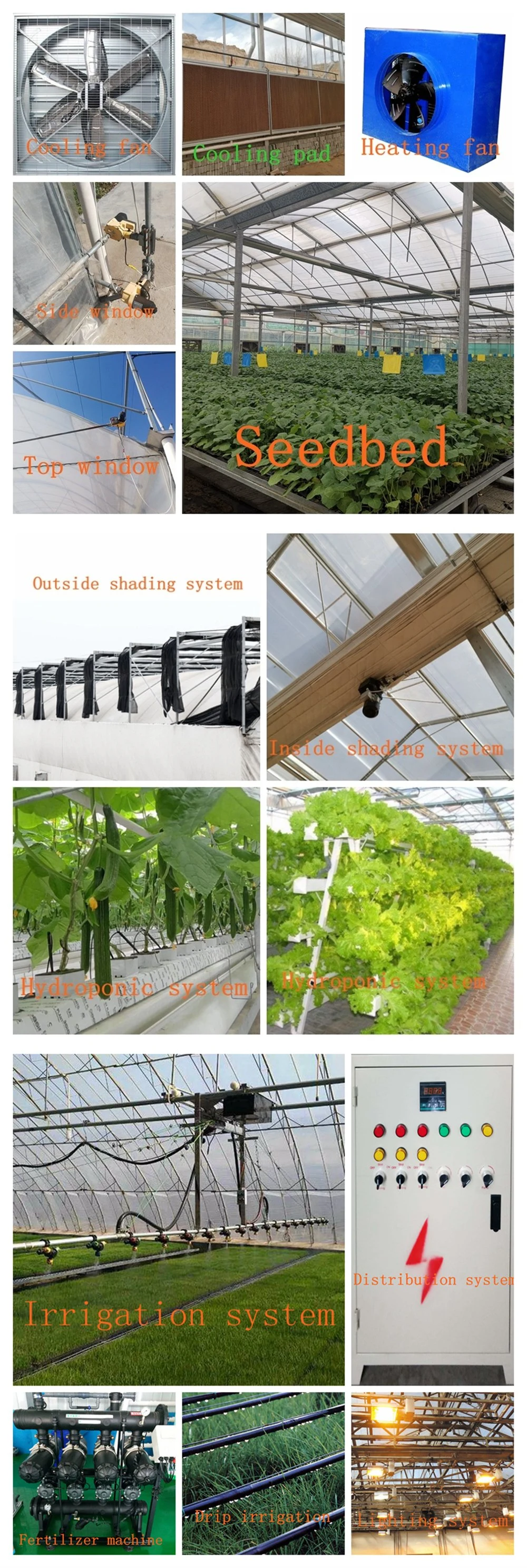 Agricultural Equipments/Tents Plastic Film Greenhouse for Vegetable/Fruits/Cucumber/Tomato/Hydroponic Growing