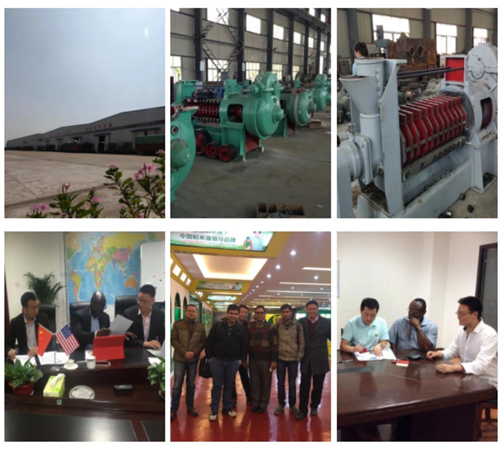 Energy Saving Avocado Oil Extraction Machine and Soybean Screw Oil Press Machine in Oil Pressers