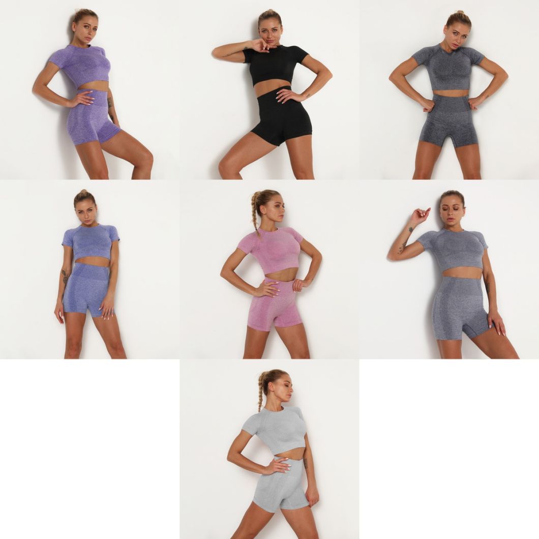 Two Piece Set High Waist Seamless Yoga Short Set Women Workout Clothing Biker Short Set