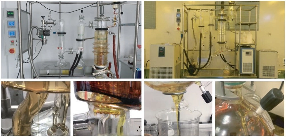 Thin Film Glass Wipe Film Moleculare Oil Distillation Machine for Cbd Oil Distillation