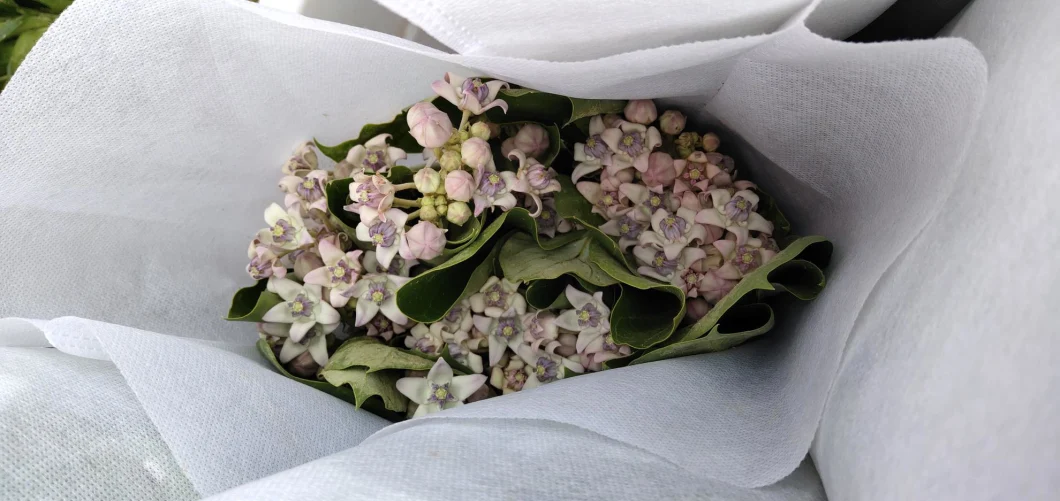 Best Selling Ornamental Flower Fresh Cut Flower Candy Confectionery Flower for Decoration