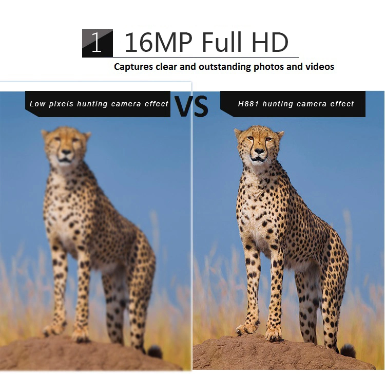Night Vision 1080P Hunting Camera Waterproof IP66 Wildlife Video Camera