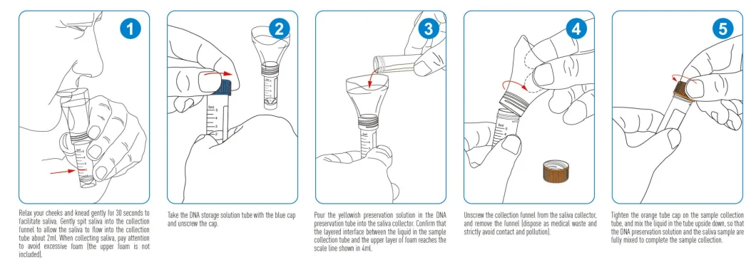 Disposable Virus Vtm Funnel Collector Collector Saliva Collection Kit