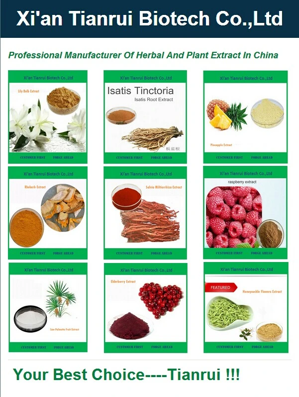 ISO Manufactory Supply Angelica Root Extract