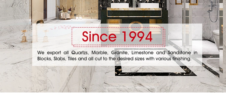 Black Natural Stone Granite Kitchen Countertop Granite Vanity Top for Table