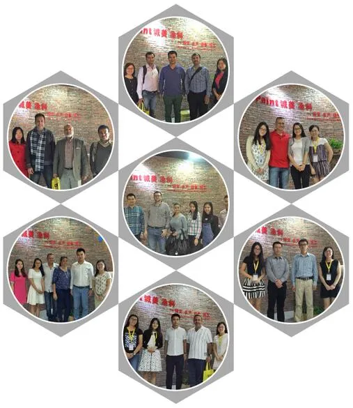 Eco-Friendly Granite Stone Granite Exterior Wall Paint Effect Spray Coating