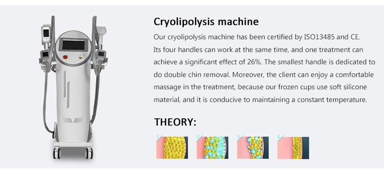 Ce Approved Portable Cryolipolysis Machine 4 Handles Fat Freeze Body Slimming Machine for Home Use