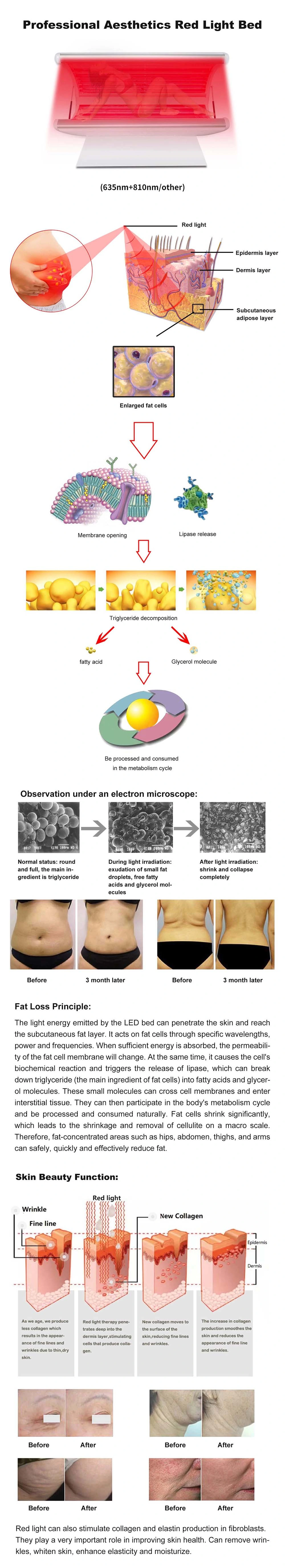 Full Body Skin Care Red Light Therapy Photobiomodulation Bed