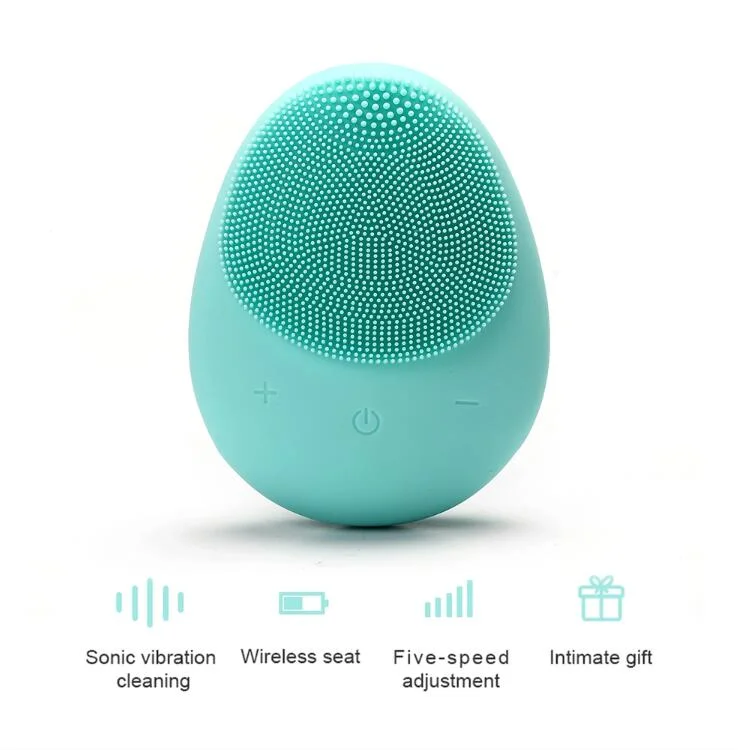 2021 Beauty and Personal Care Electric Facial Cleansing Brush Sonic Silicone Facial Cleansing Brush