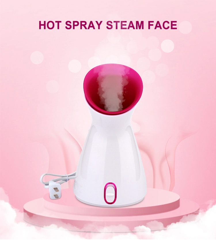 Beauty Skin Care Nano Ionic Home Sauna SPA Face Humidifier Atomizer Facial Steamer