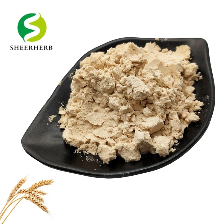 Hydrolysed Wheat Gluten Peptides Natural Wheat Peptide Extract/Wheat Peptide