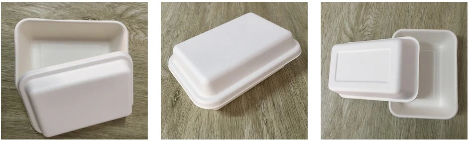 Bagasse or Wheat Straw Biodegradable Potato Tray with Lid