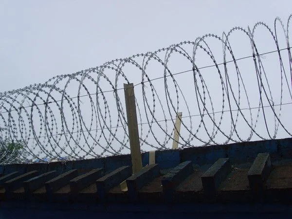 Security Fence Razor Barbed Wire for Airport