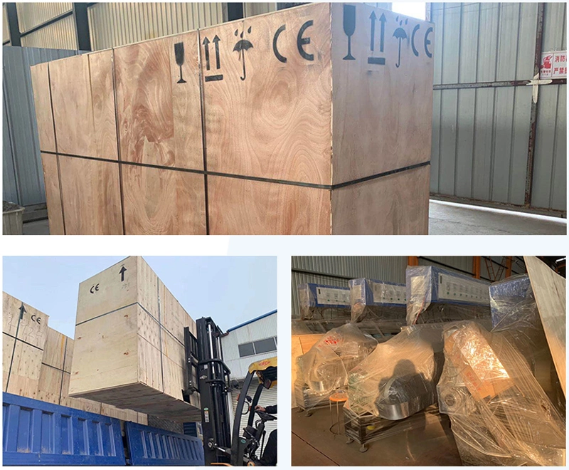 Chinese Suppliers Adjustable Glass Beveling Machine Zxm-LC241
