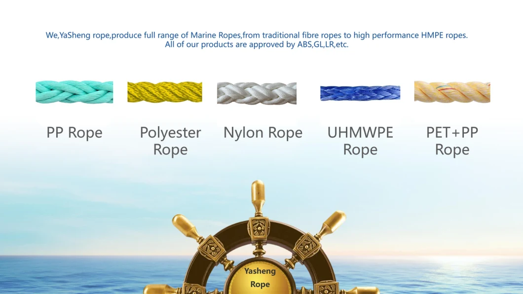 Factory Wholesale 8 Strand Braided Polyester Rope PP Danline Rope Marine Rope for Fishing and Mooring