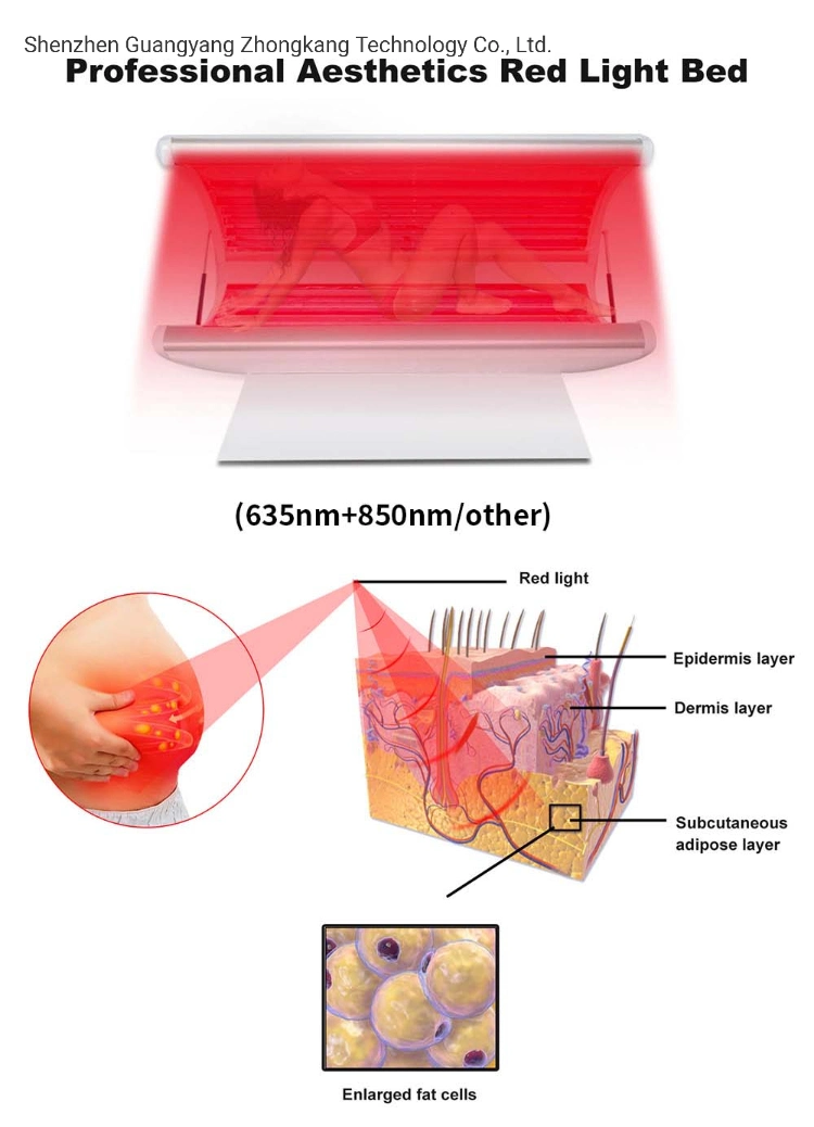 Body Skin Care Weight Management Red Light Therapy Capsule