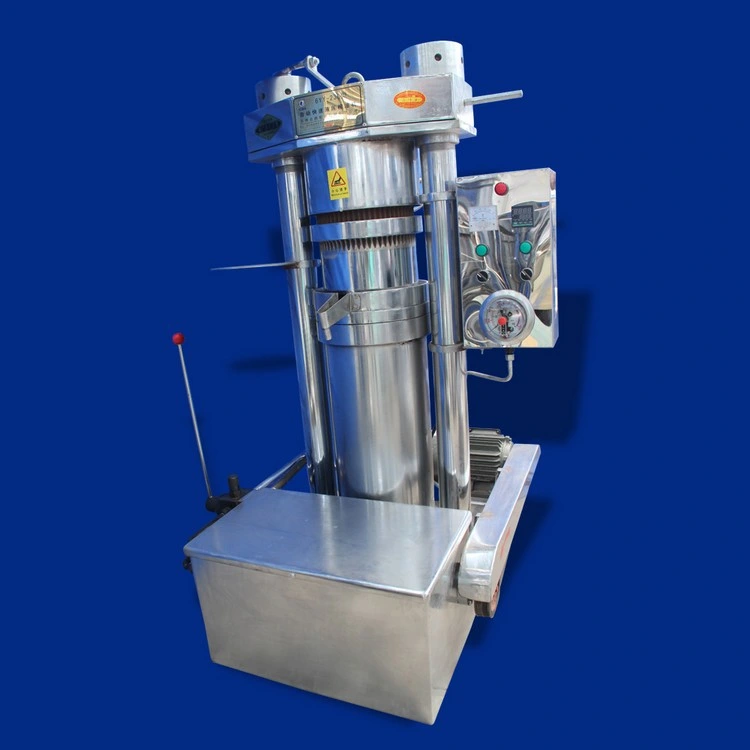 Stainless Steel Cold Oil Presser Machine