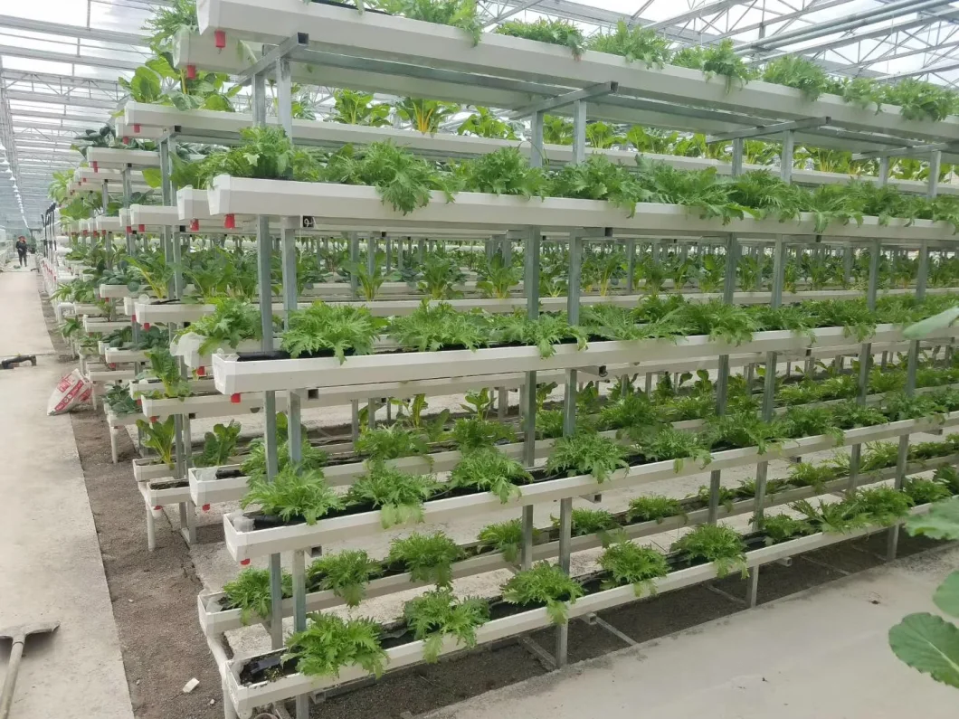 Coco Peat Soiless Planting Greenhouse