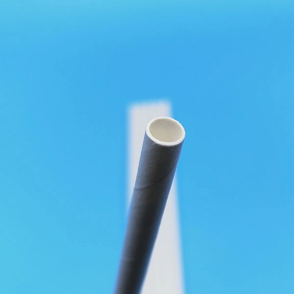 Eco-Friendly Compostable Biodegradable White Sugarcane Pulp Paper Straws