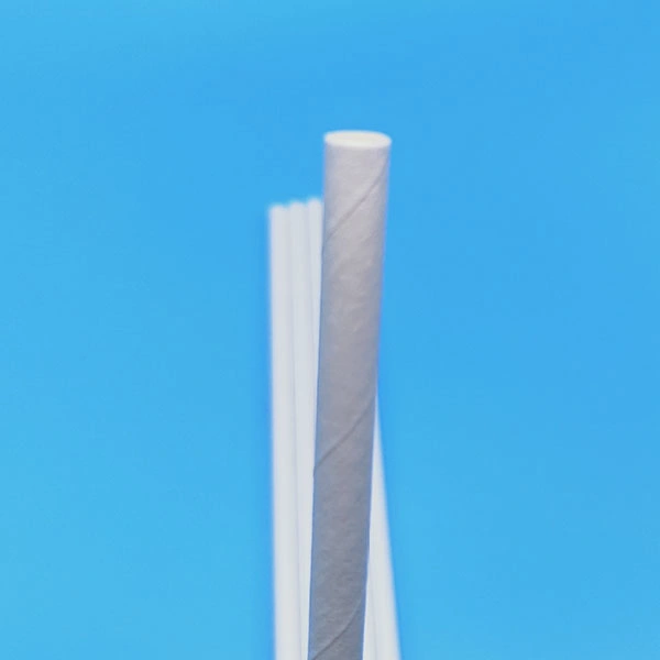 Eco-Friendly Compostable Biodegradable White Sugarcane Pulp Paper Straws