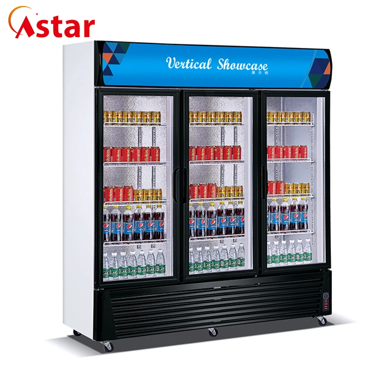 Supermarket Two Shelves Double Doors Commercial Beverage Refrigerator