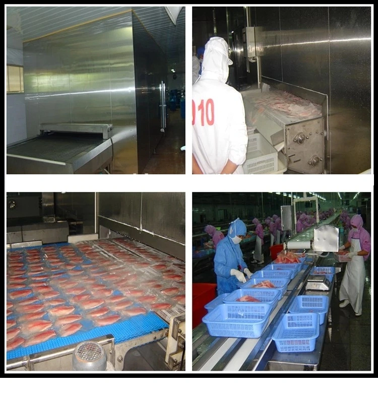 CE Approved Industrial Blast Freezers / IQF Freezing Machine / Tunnel / Freeze Ice Cream Machine