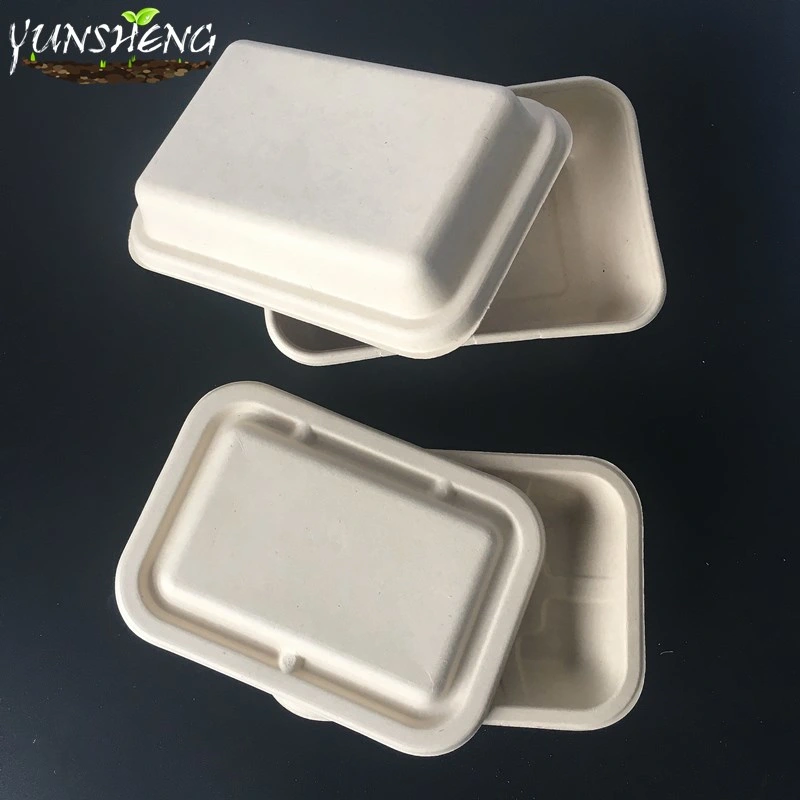 Eco-Friendly Customized Disposable Wheat Straw Paper Box with Lids Which Are Two Compartments