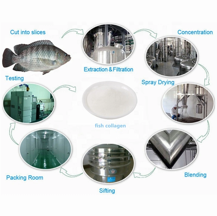 Marine Collagen Fish Collagen Powder Peptide