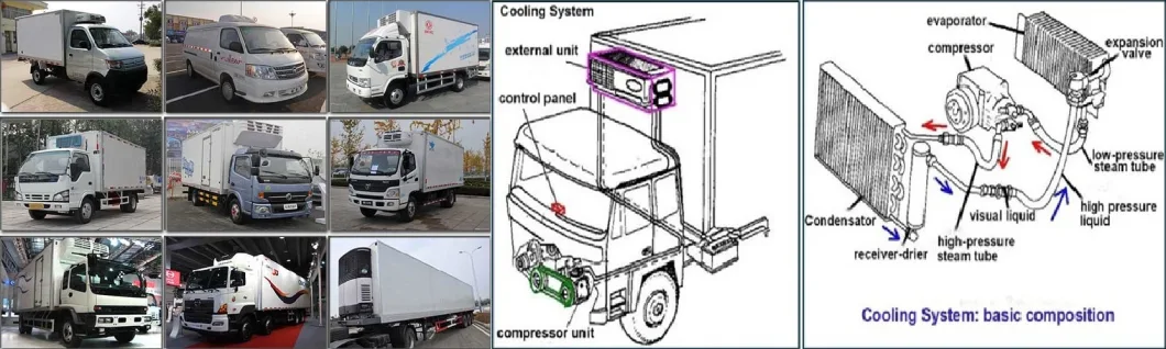 Foton 4X2 10ton Refrigerated Freezer Cargo Van Chiller Box Refrigerator Truck