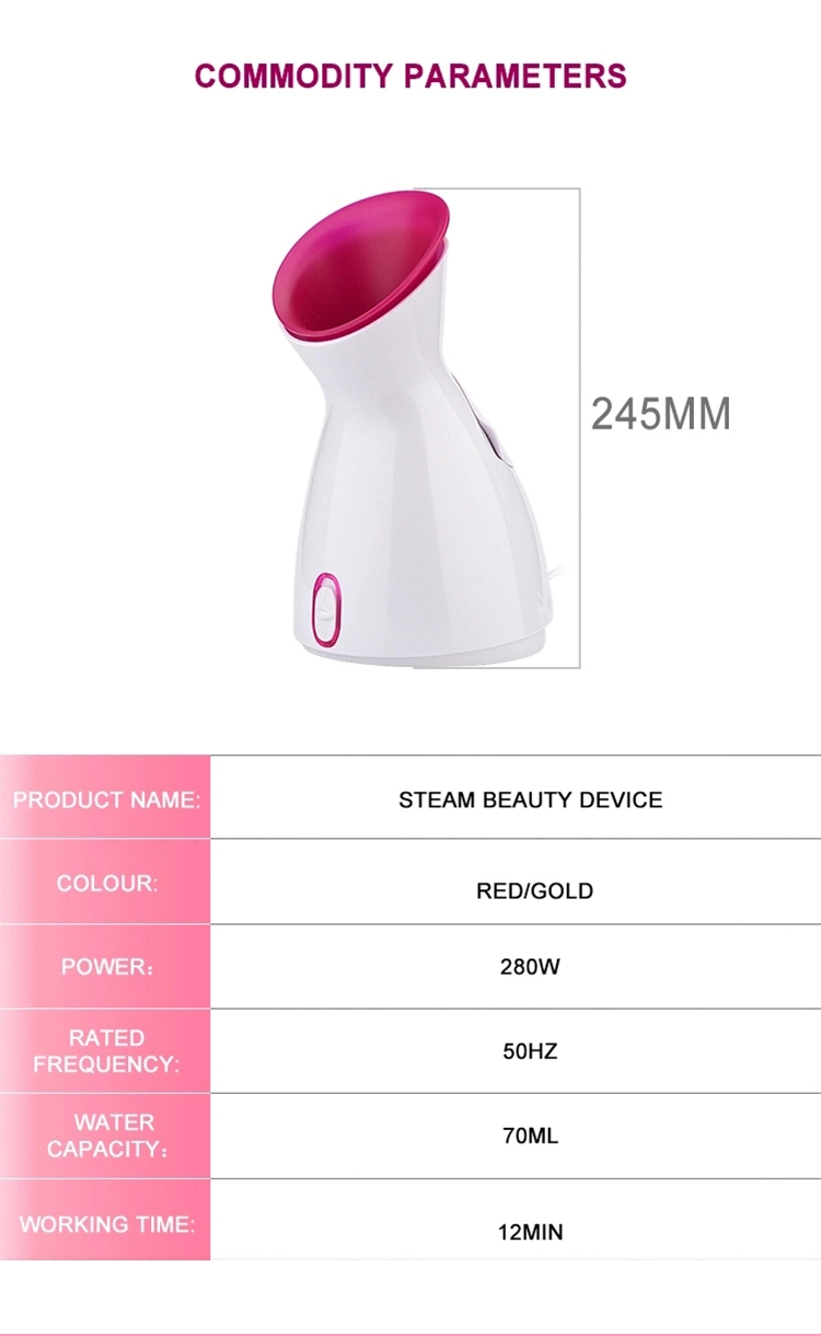 Beauty Skin Care Nano Ionic Home Sauna SPA Face Humidifier Atomizer Facial Steamer