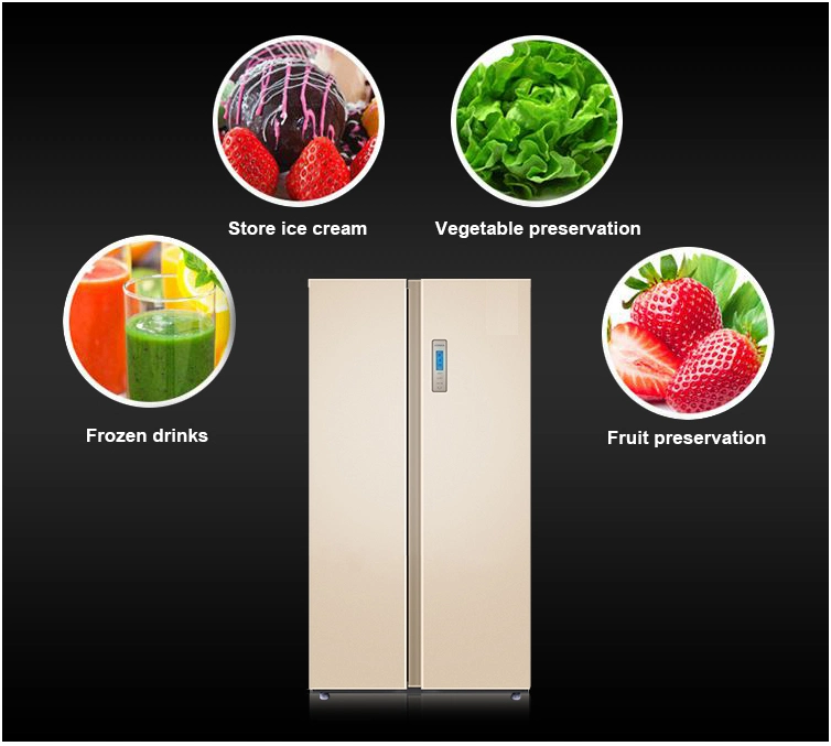 Home Refrigerator 448L Side by Side Double Door Fridge