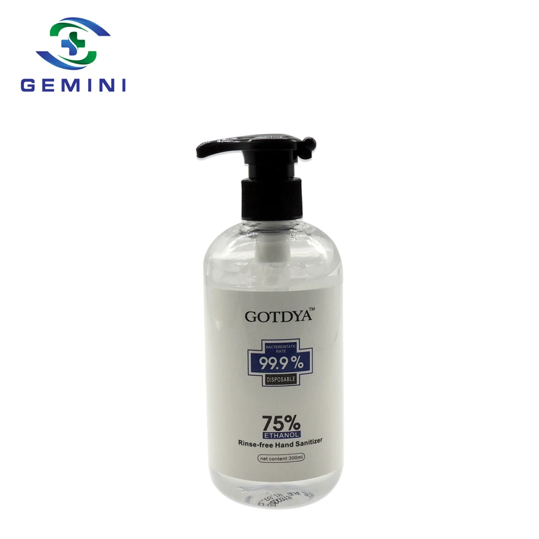 Wholesale 75% Alcohol 300ml Rinse-Free Disinfectant Hand Sanitizer Gel (GPHS-002)