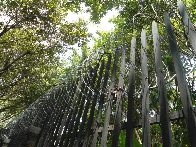 Security Fence Razor Barbed Wire for Airport