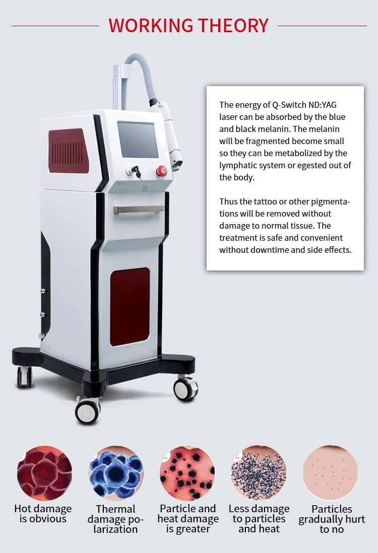 Vertical 6 Handles Beauty SPA Use ND YAG Laser Tattoo Pigmenation Birthmark Removal Beauty Equipment