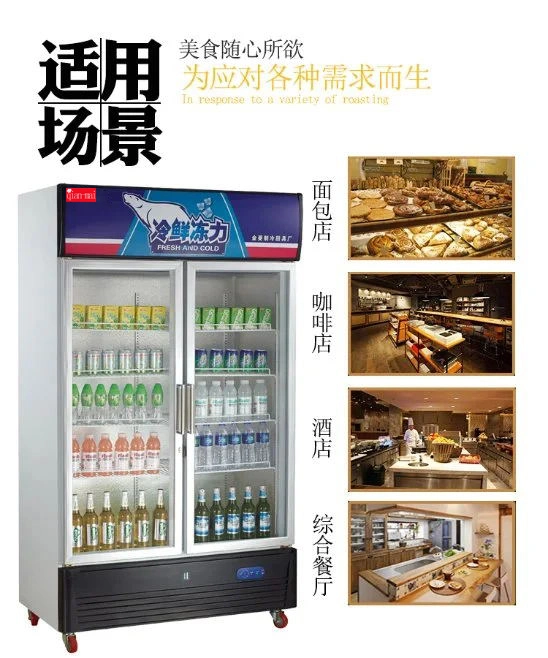 Vertical Double Glass Door Soft Drink Beverage Display Cooler Showcase Cooler Upright Refrigerator