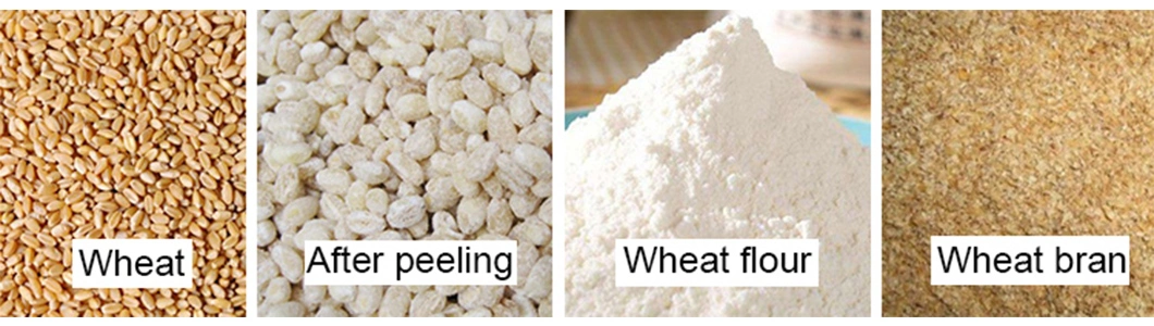 Wheat Flour Wheat Flour Mill Price Wheat Flour Price Flour Wheat Durum Wheat Flour