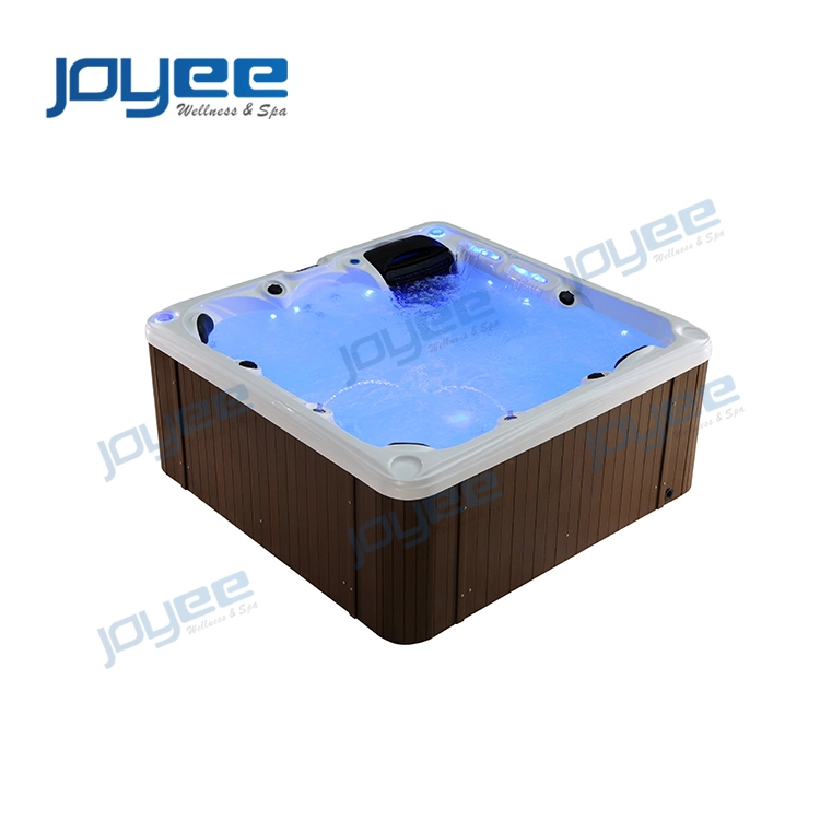 Joyee 4m SPA Swimming Pool with TV Set Swim SPA Outdoor