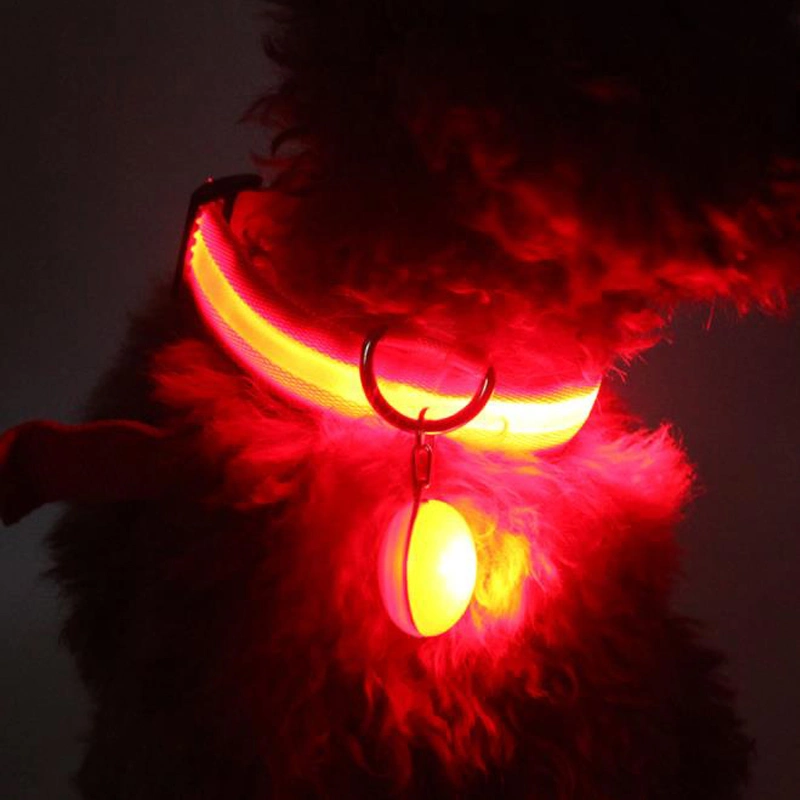 Adjustable Necklace Safety Nylon LED Glowing Dog Collar for Pet Dogs