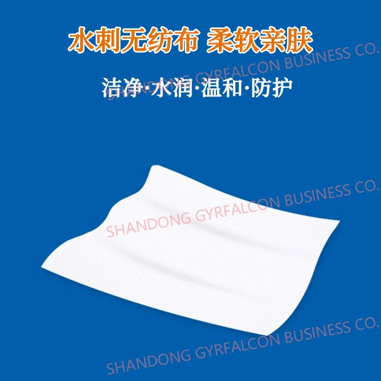 2021 New Disposable Aged Care Wipes Patients Body Cleaning Wet Wipes for Medical Care Nursing Wipes