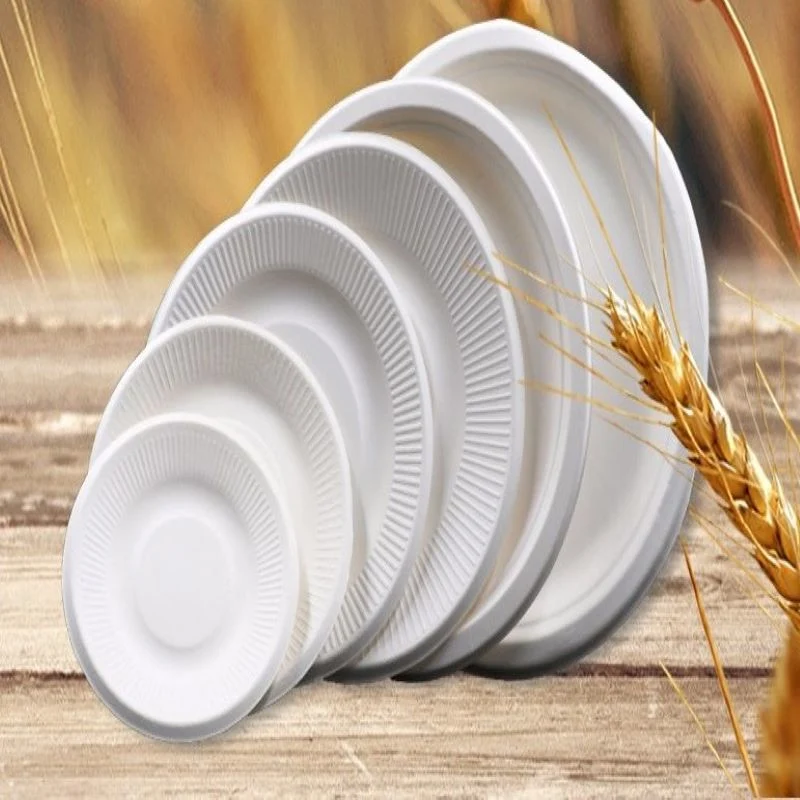 9# Bagasee Wheat Straw Pulp Tray Plates Biodegradable