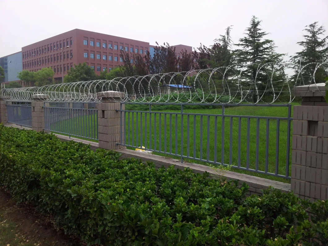 Security Fence Razor Barbed Wire for Airport