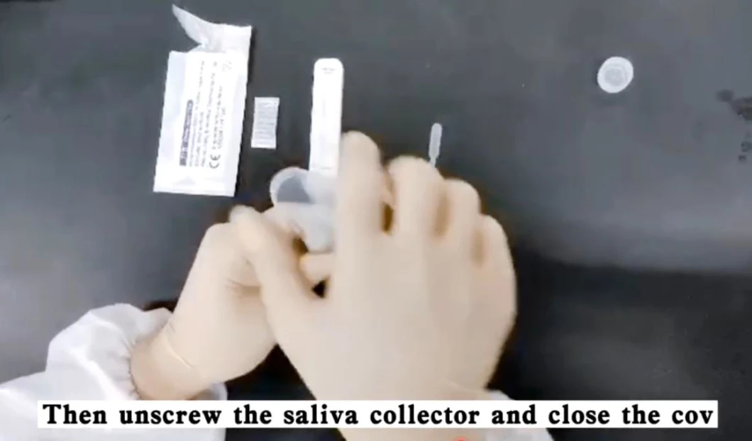  Saliva Salivary Antigen Rapid Testing Kit Swab Testing