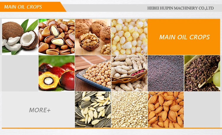 New Type Fresh Nut Oil Expeller Peanut Oil Presser