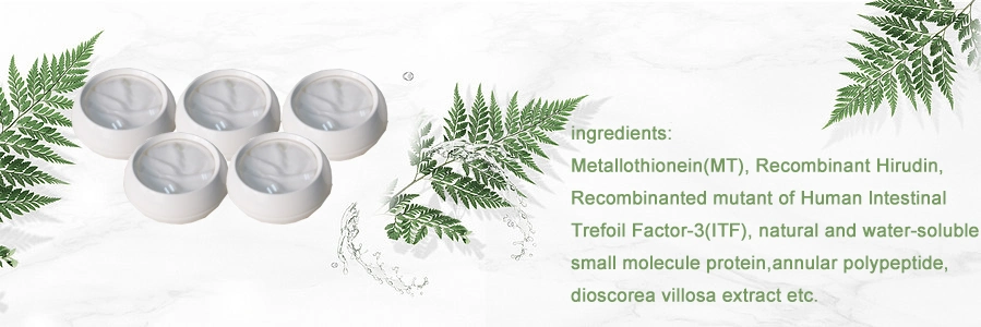 High Efficiency Smooth Facial Cream, High-Quality Plant Extracts, Anti-Aging Cosmetics, Moisturizing Cream